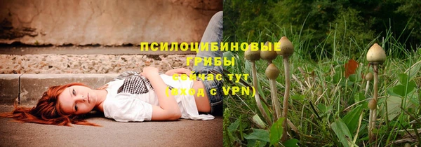 mdpv Белокуриха