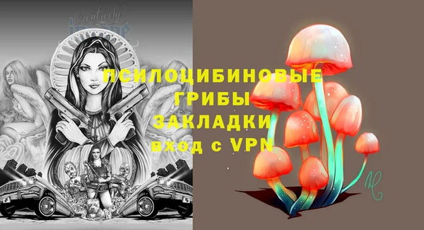 mdpv Белокуриха
