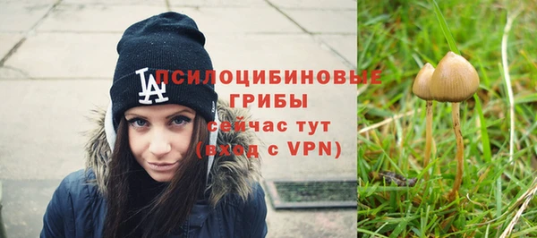 синтетический гашиш Беломорск