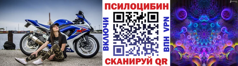 магазин продажи наркотиков  Калининец  Псилоцибиновые грибы мухоморы 
